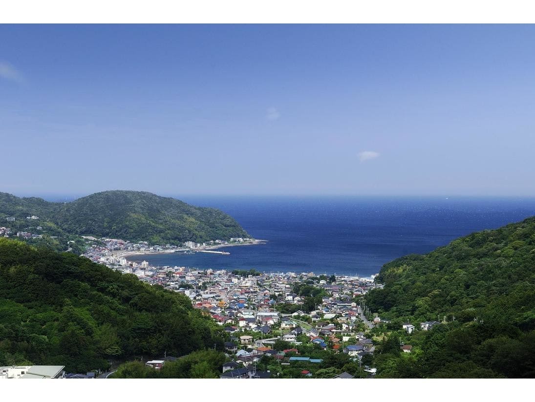 Wisterian Life Club Usami