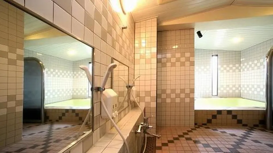 Business Green Hotel Yokaichi