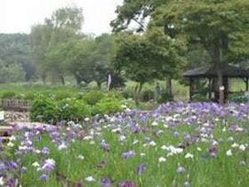 アイホテル上尾