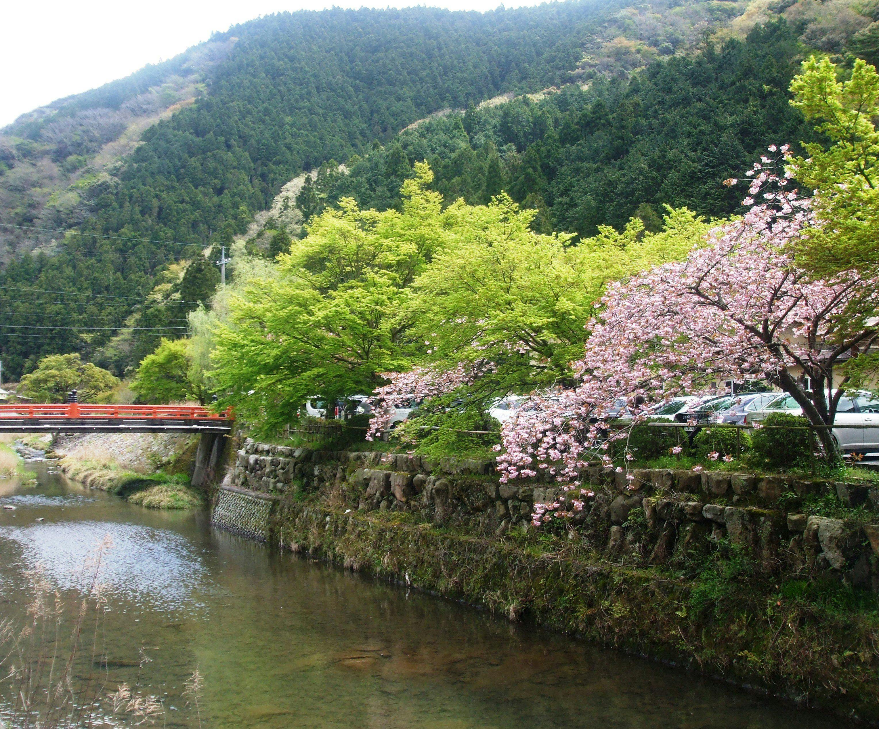 Ichinomata Onsen Grand Hotel