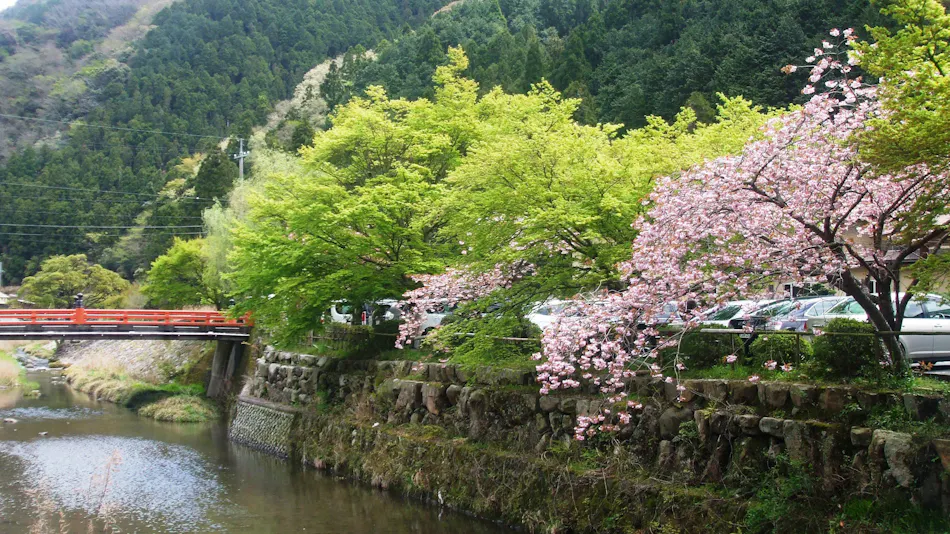 Ichinomata Onsen Grand Hotel