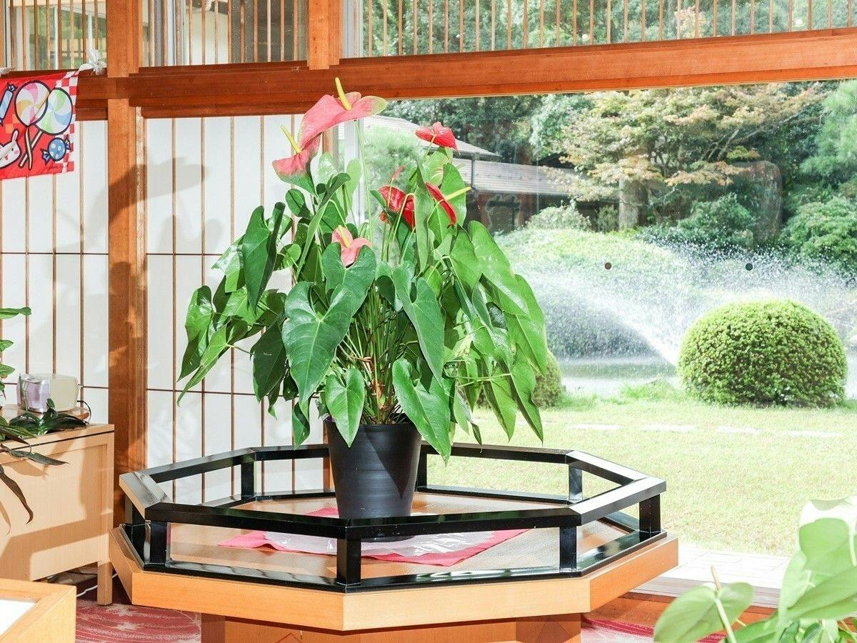 Ichinomata Onsen Grand Hotel