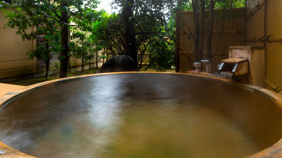 Hotel Sun Valley Izu Nagaoka