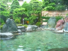 22年最新 周辺の温泉地 伊豆長岡温泉周辺の温泉地の宿ランキング Yahoo トラベル