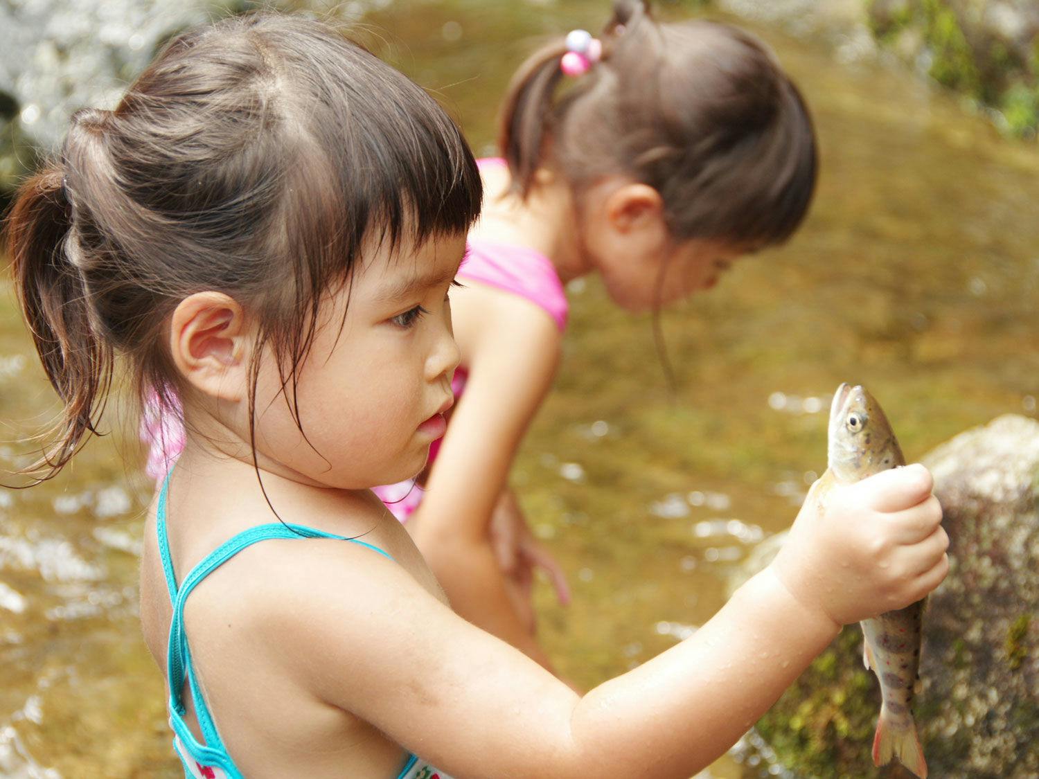 ประสบการณ์จับปลาด้วยมือเปล่า