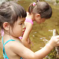 Pengalaman menangkap ikan dengan tangan