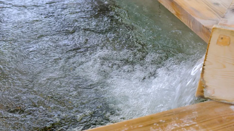 Saga Yamato Onsen Hotel Amandi