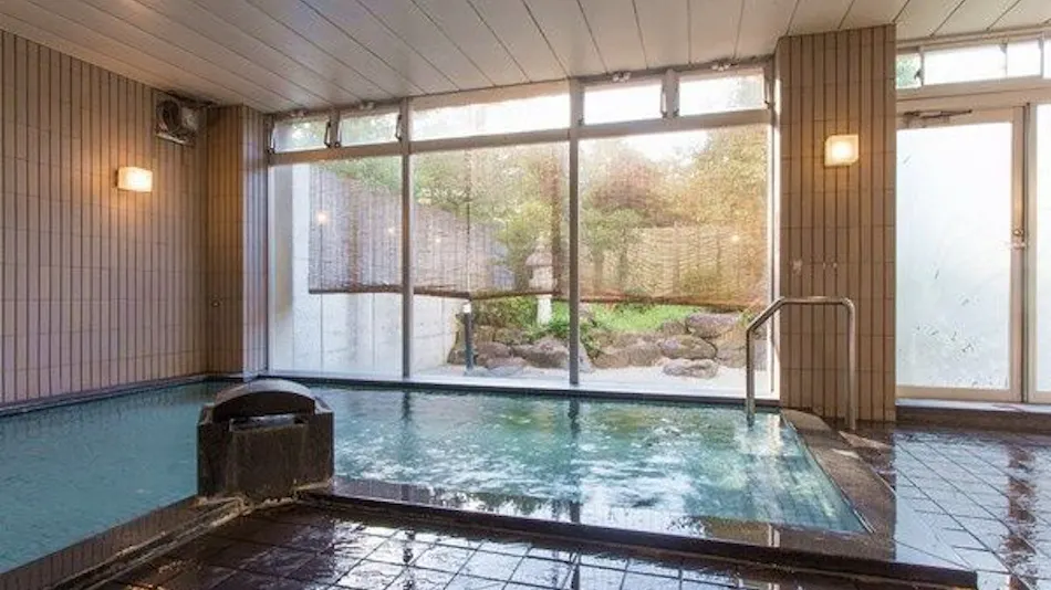 Annex Fujiya Ryokan