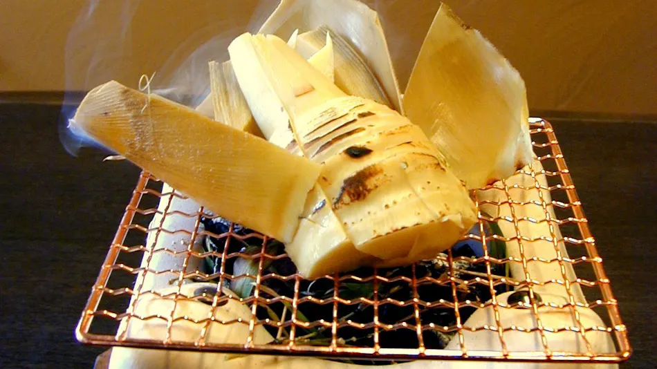 Hishino Onsen Tokiwakan