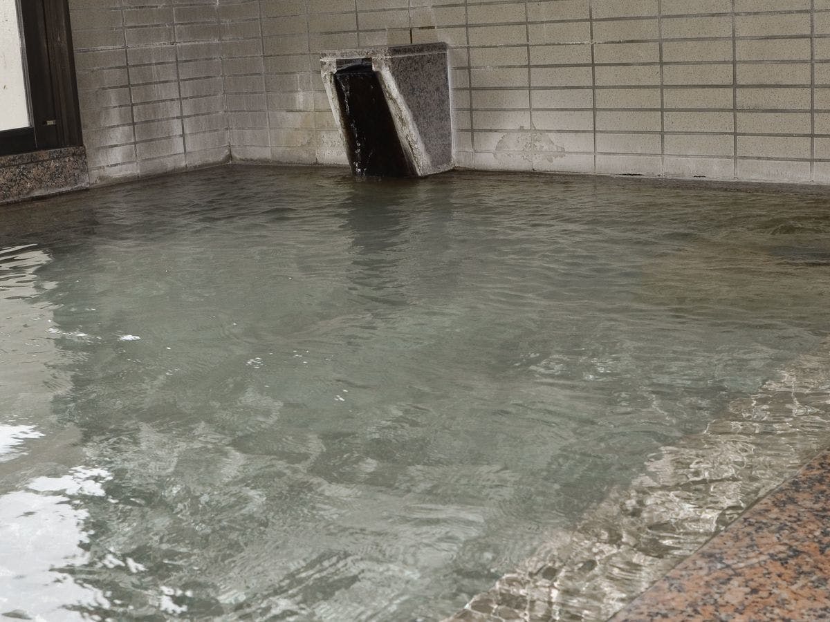 Hishino Onsen Tokiwakan