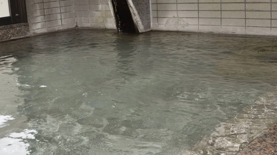 Hishino Onsen Tokiwakan