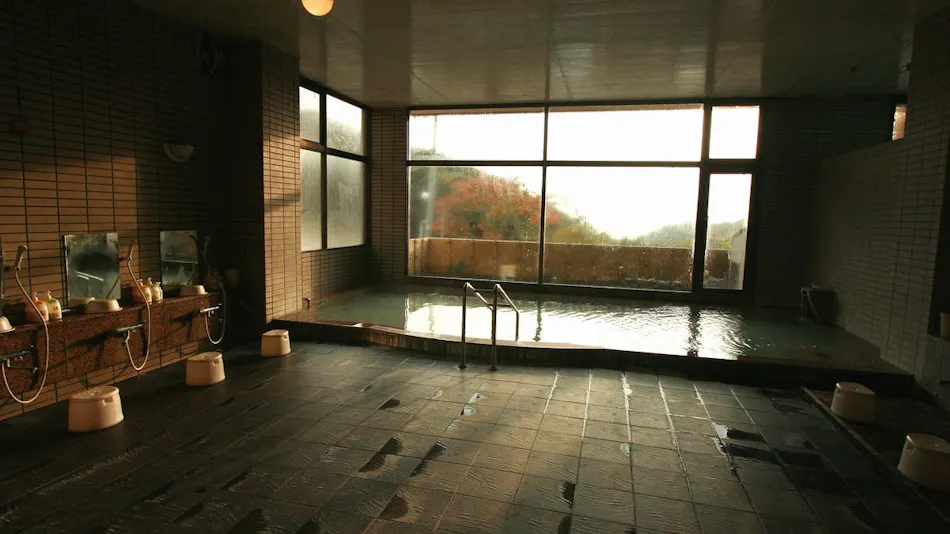 Hishino Onsen Tokiwakan