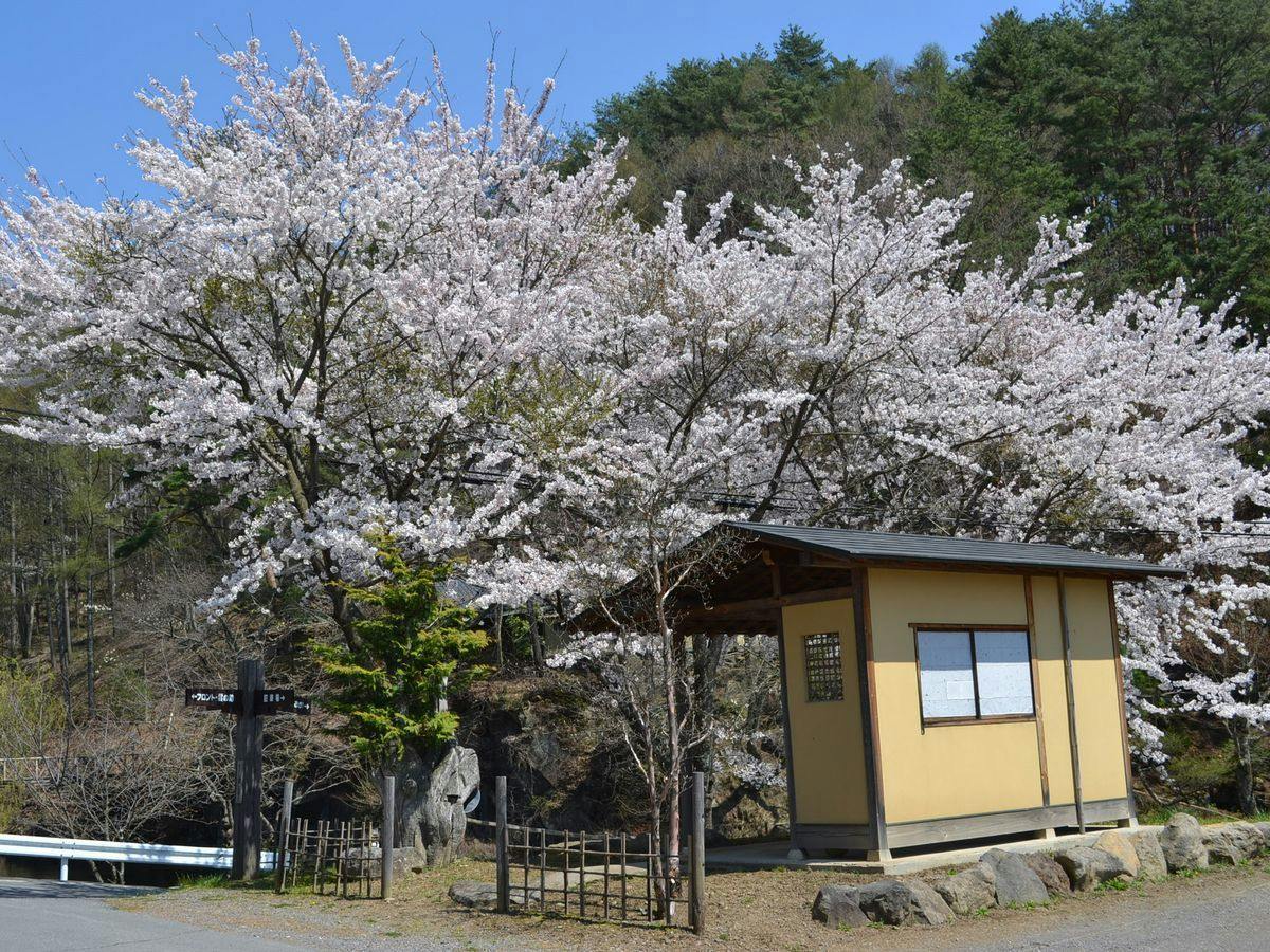 Hishino Onsen Tokiwakan