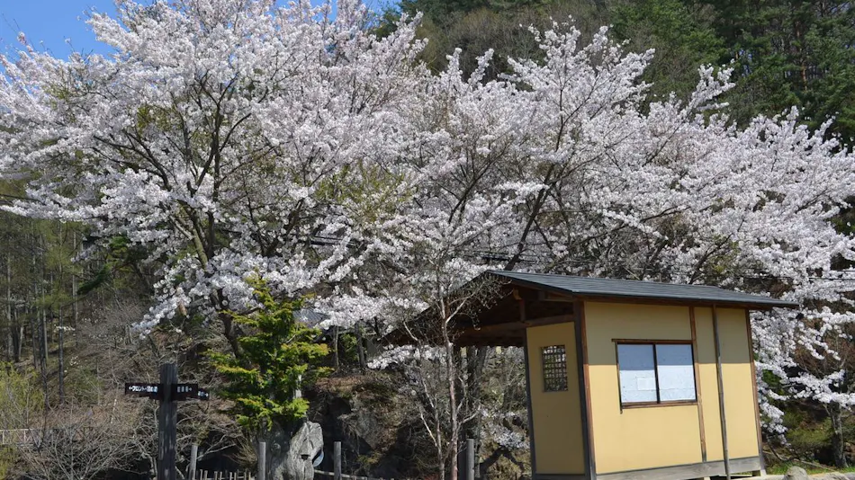 Hishino Onsen Tokiwakan