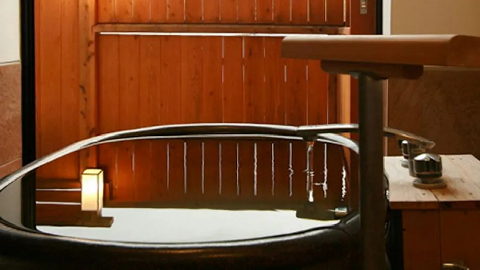 Hishino Onsen Tokiwakan