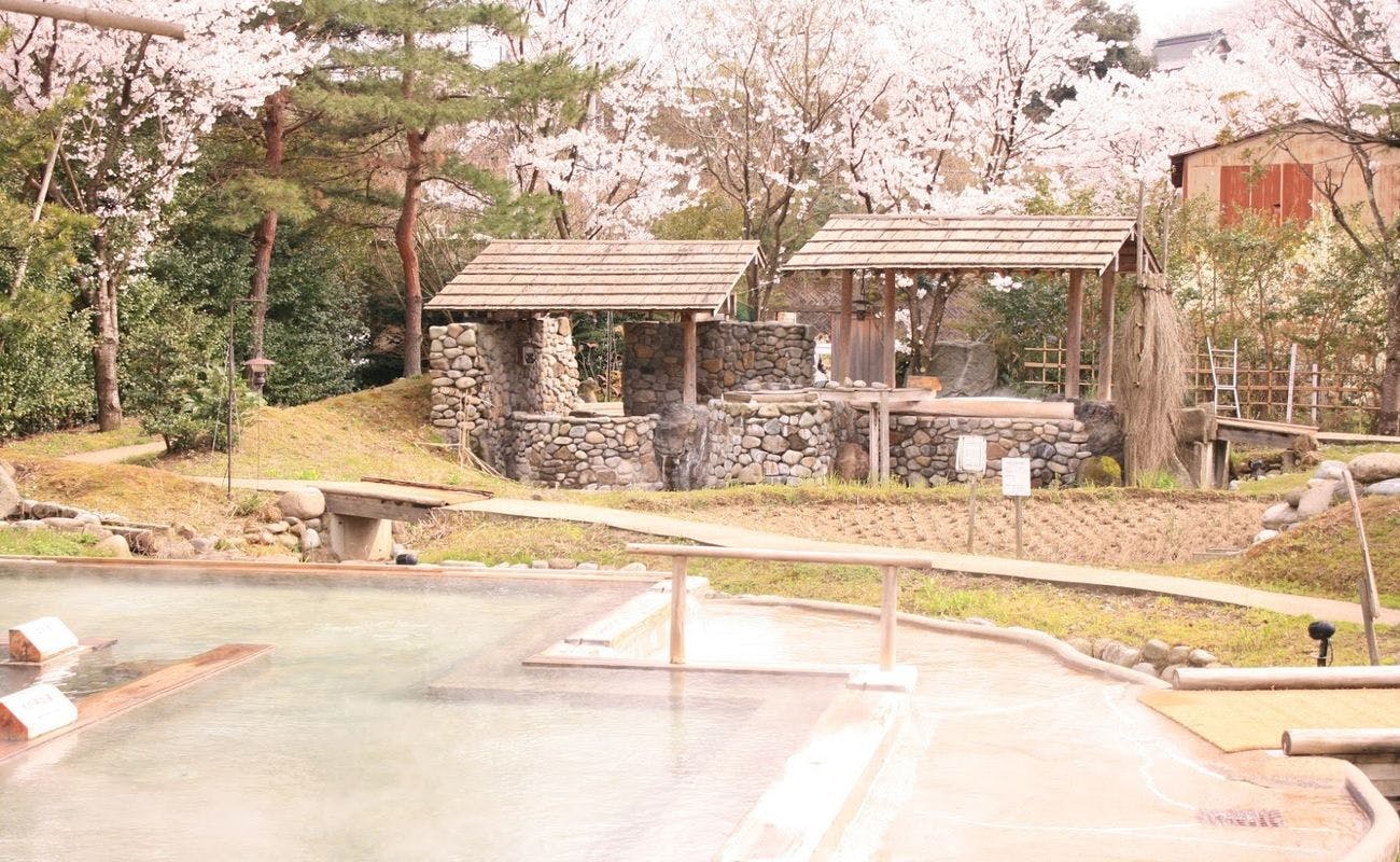 บ่อน้ำพุร้อนทัมโบะ (ซากุระ)