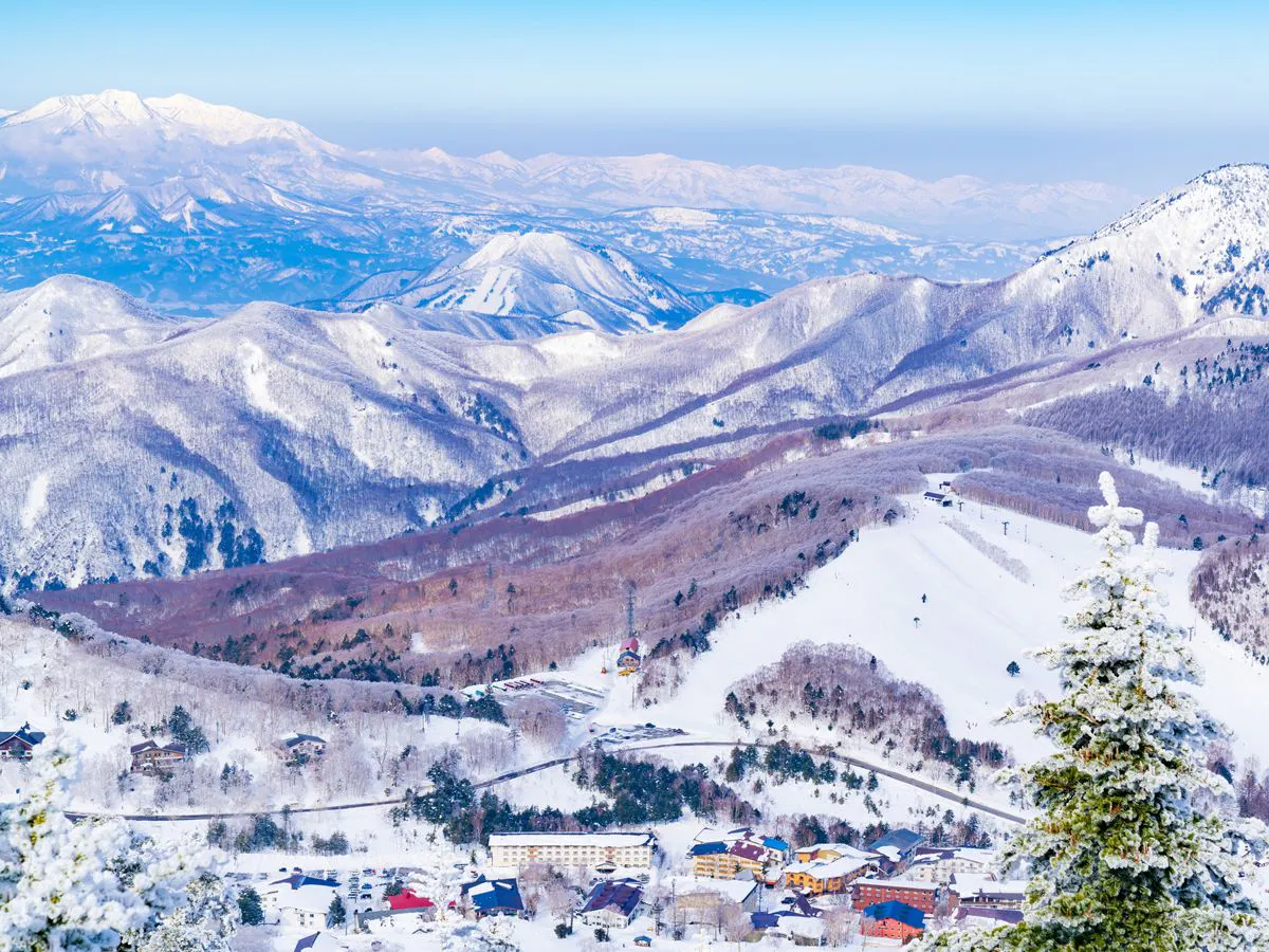 ชิกะโคเก็งในฤดูหนาว