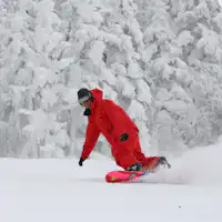 สโนว์บอร์ด