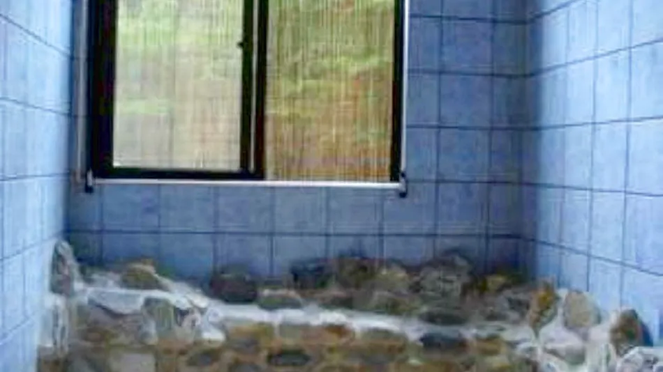 Ichika Inn