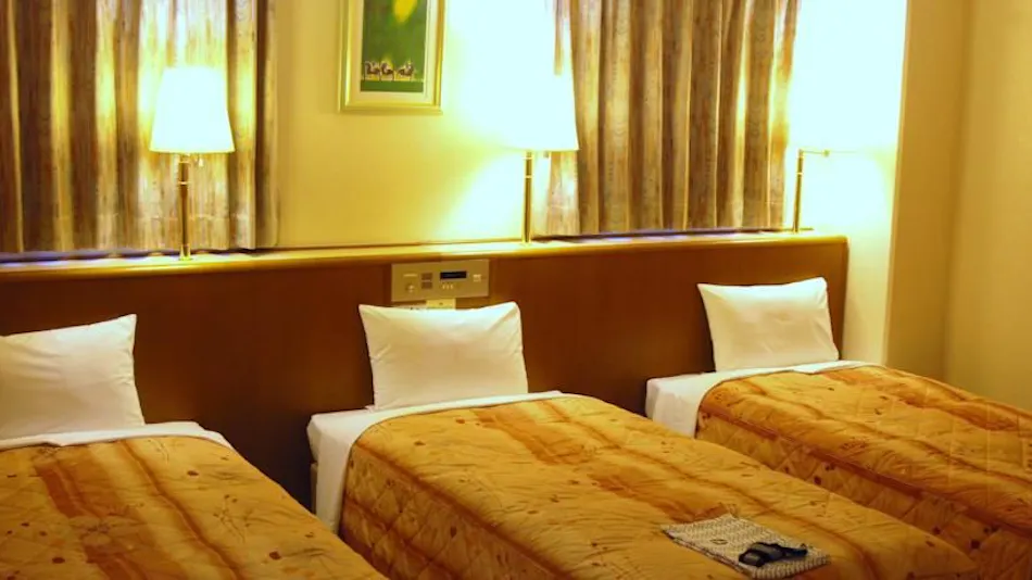 Business Hotel Nissei