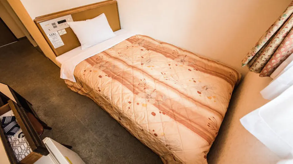 Business Hotel Nissei