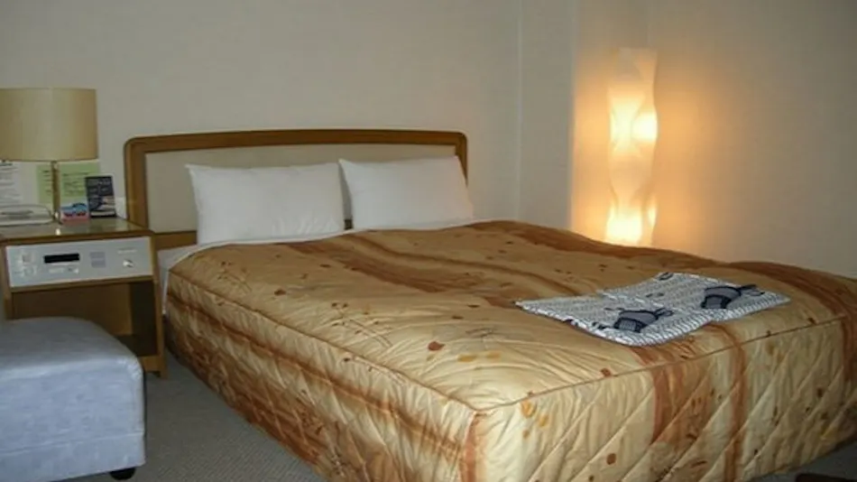 Business Hotel Nissei