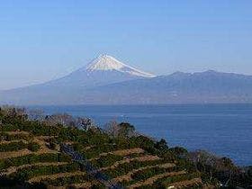 民宿はごろも荘