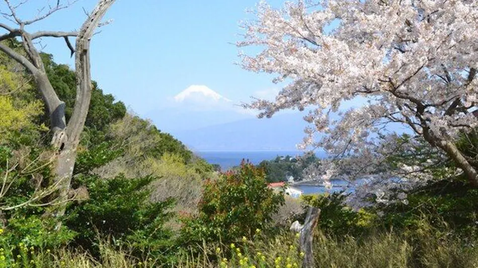 Hagoromo-sou