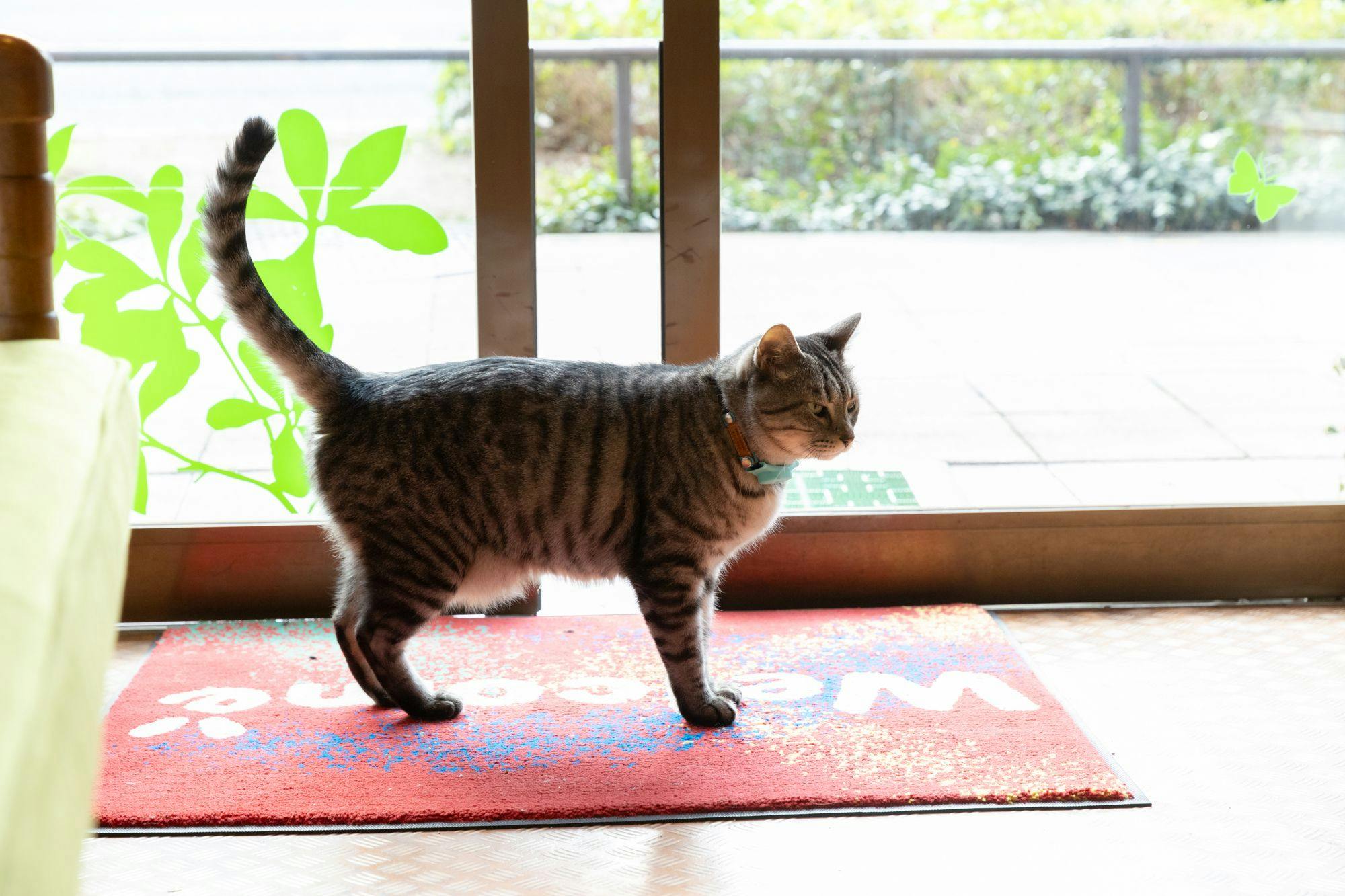 Hotel Daiki