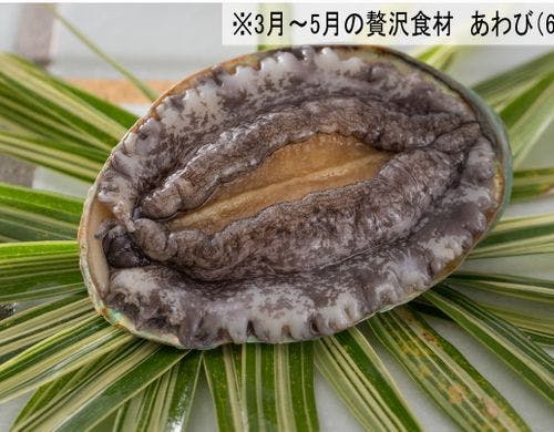 春のたちばな会席　※写真はイメージです