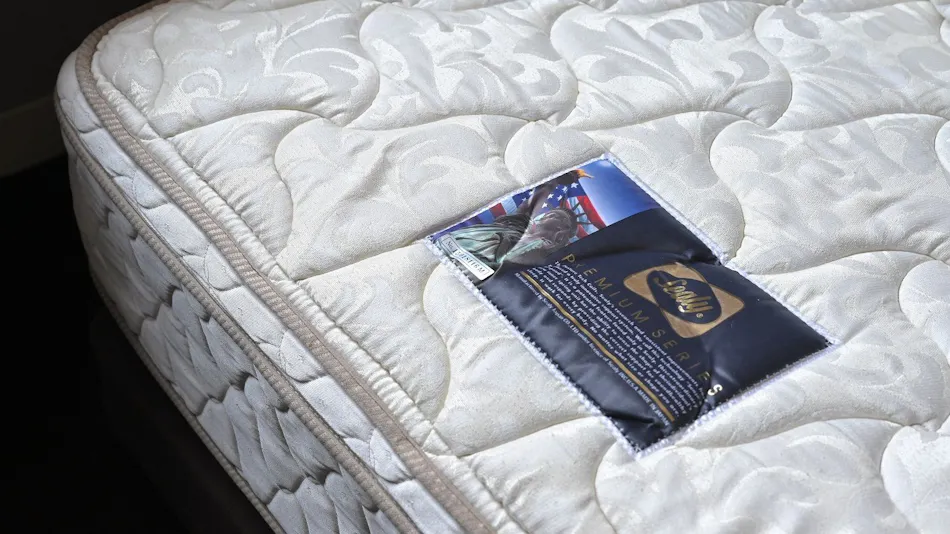 Kawaguchiko Park Hotel