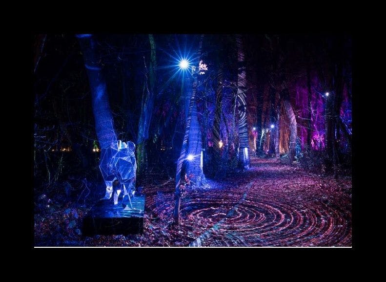 十和田奧入瀨觀光機構攝影小山田邦哉