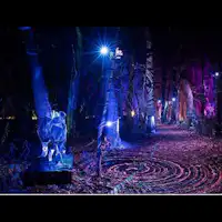 十和田奧入瀨觀光機構攝影小山田邦哉