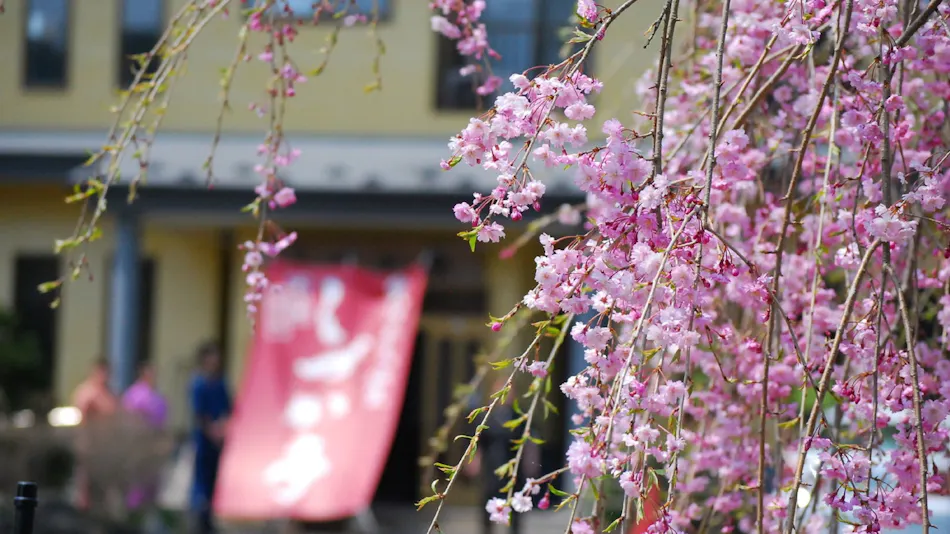 Oshu Hiraizumi Onsen Soba-an Shizukatei