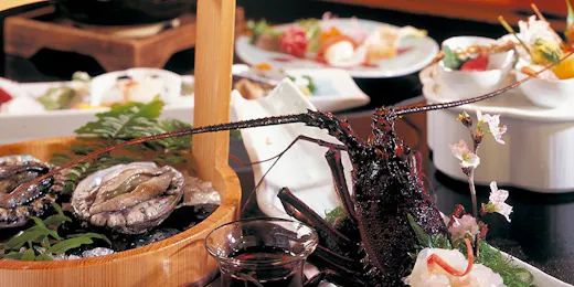 Seiryu Seaside Sunset Onsen Ryokan