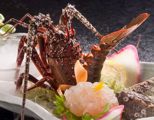 ■甘さとぷりぷりの食感の伊勢海老のお造り