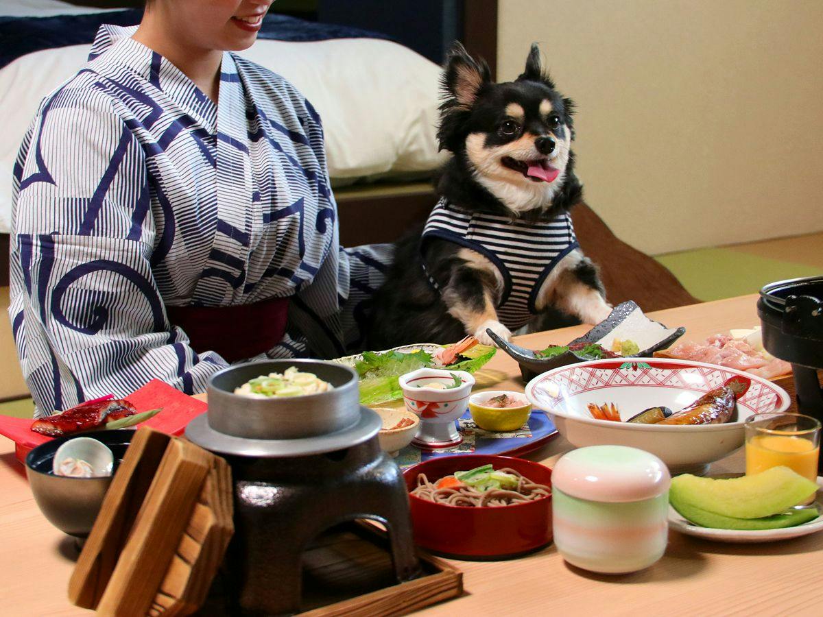 Shikisou