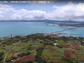 スターライトテラス照家