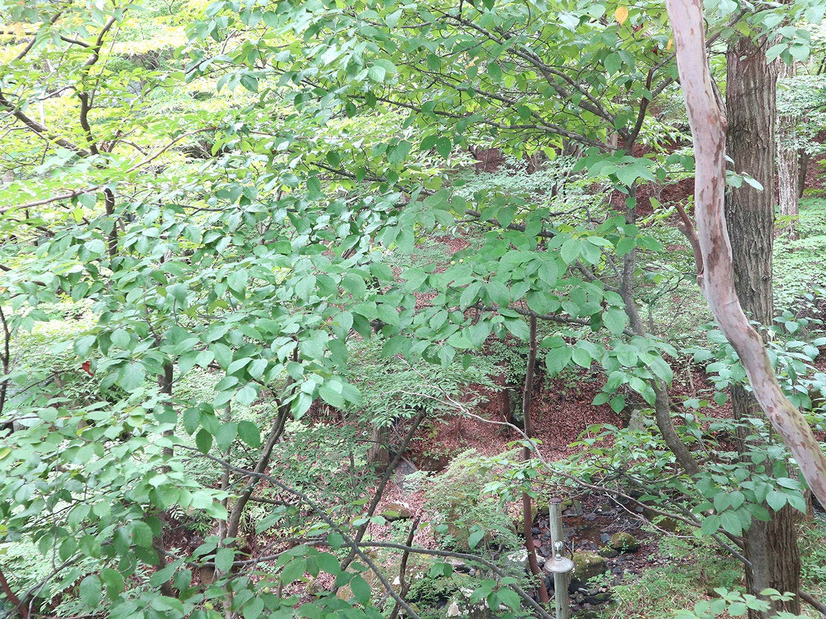 Nasu Highland Petit Hotel Vansankan