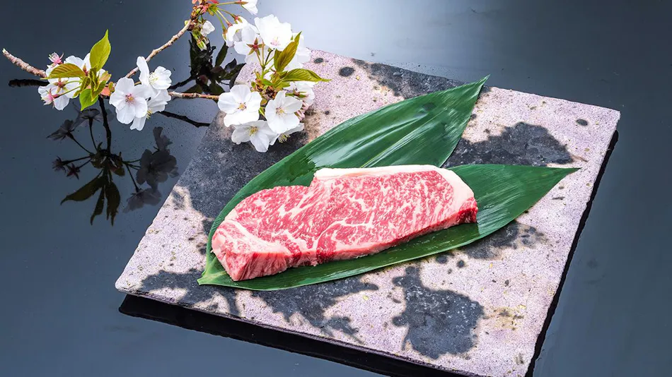 Irago Onsen Koijigahama Kuroshio