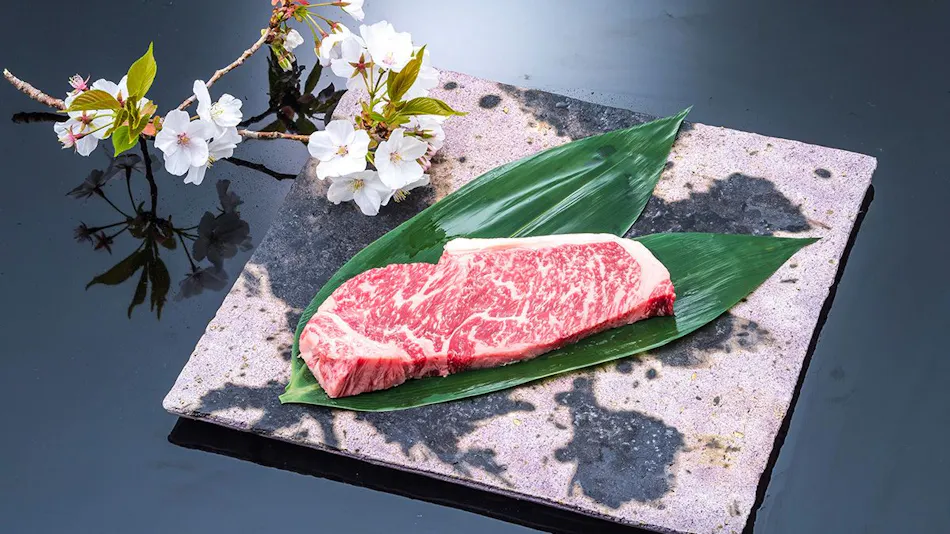 Irago Onsen Koijigahama Kuroshio