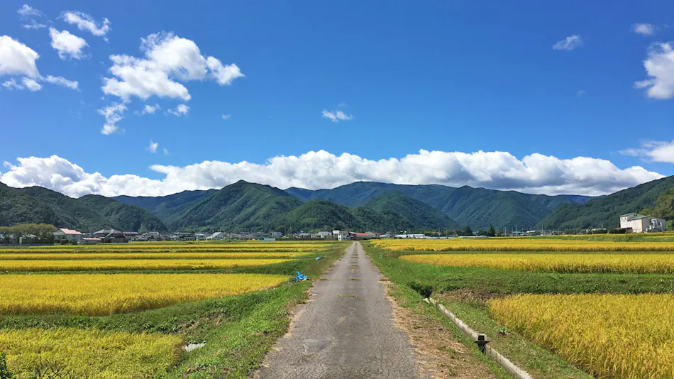 Tourist Minowa