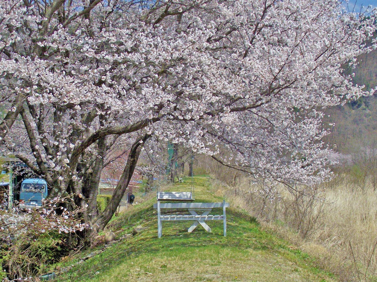 Tourist Minowa