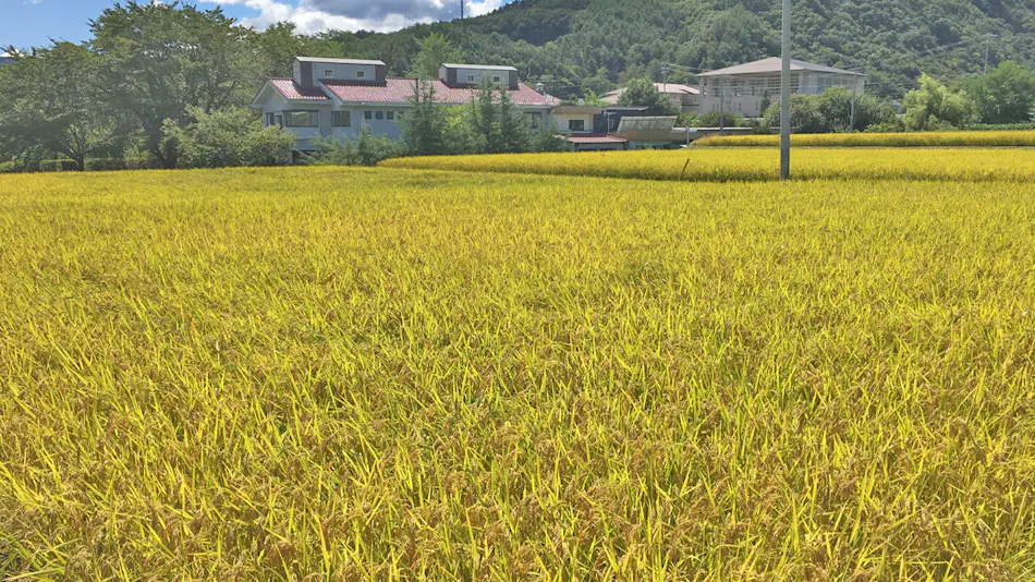 Tourist Minowa