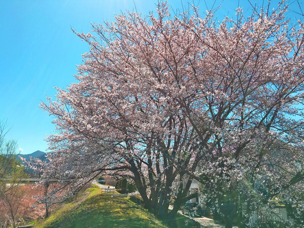 Tourist Minowa