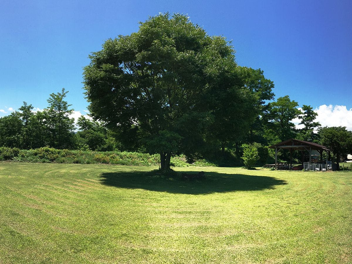Tourist Minowa
