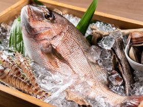 人吉温泉　鍋屋本館