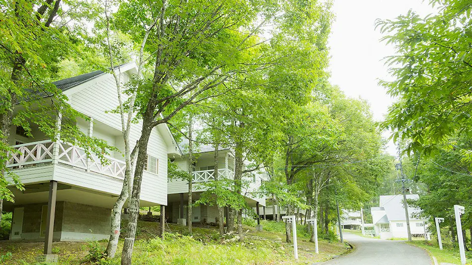 Resort Villa Takayama: A Forest Cottage Under a Starry Sky