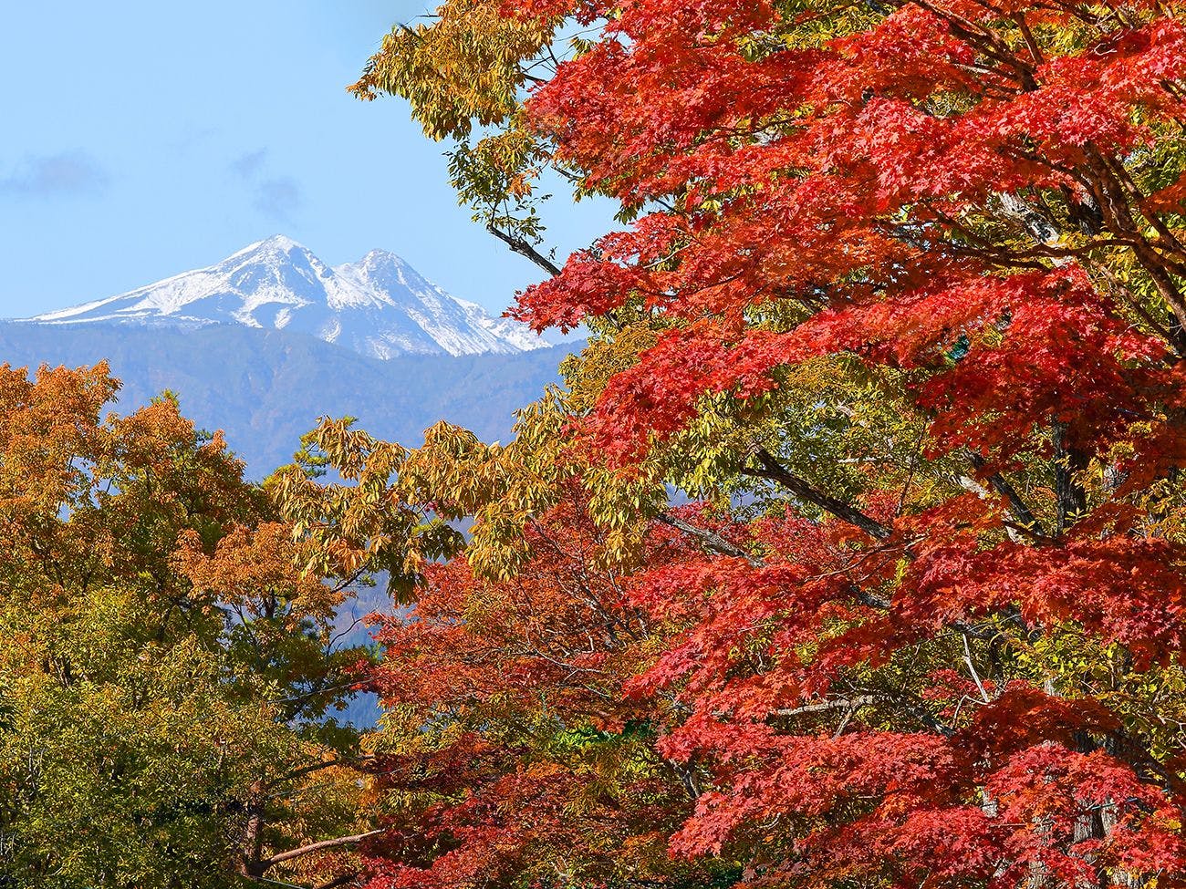 Resort Villa Takayama: A Forest Cottage Under a Starry Sky