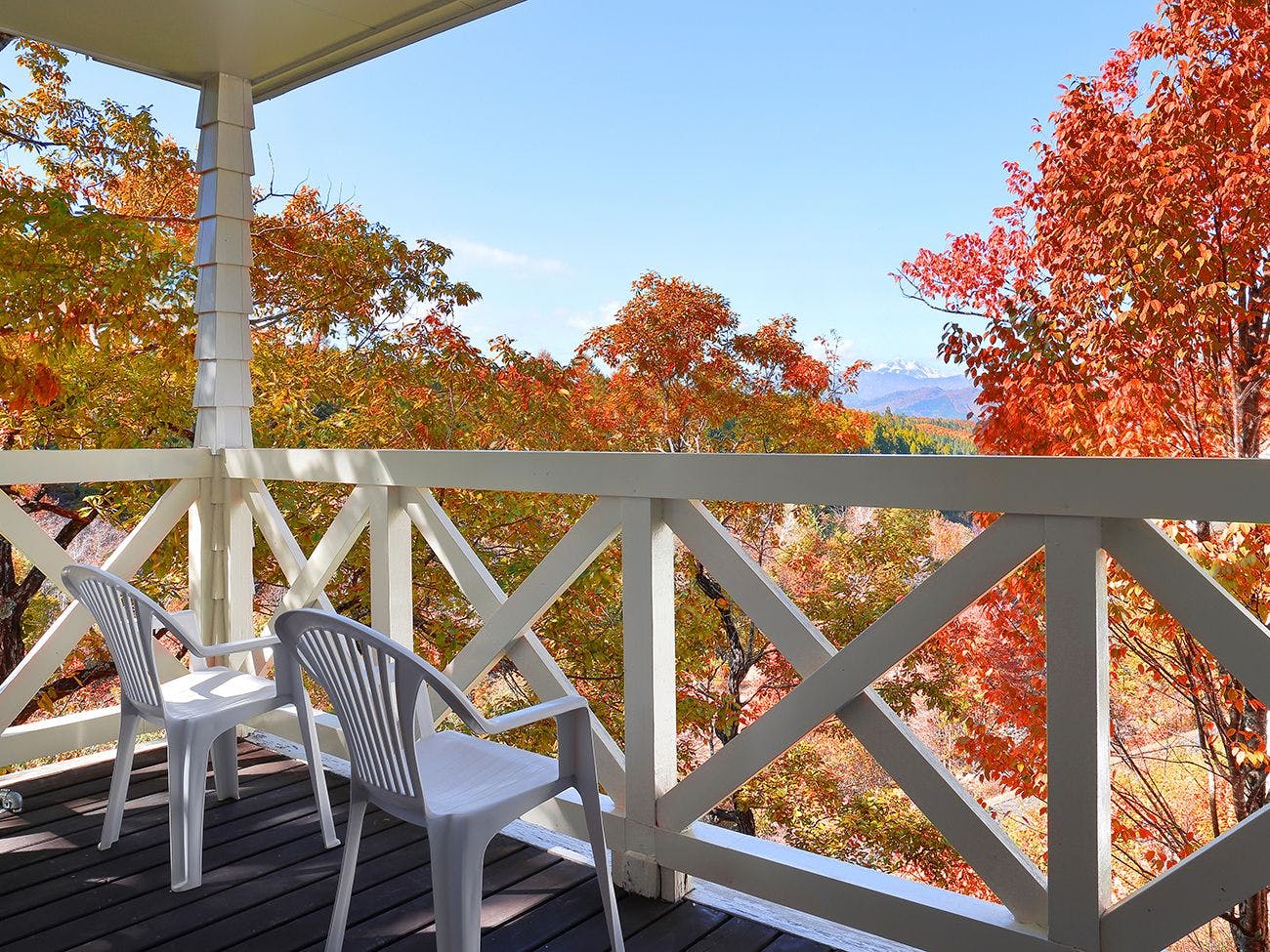 Resort Villa Takayama: A Forest Cottage Under a Starry Sky